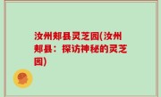 汝州郏县灵芝园(汝州郏县：探访神秘的灵芝园)