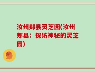 汝州郏县灵芝园(汝州郏县：探访神秘的灵芝园)