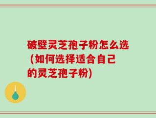 破壁灵芝孢子粉怎么选 (如何选择适合自己的灵芝孢子粉)