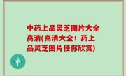 中药上品灵芝图片大全高清(高清大全！药上品灵芝图片任你欣赏)