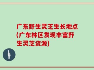 广东野生灵芝生长地点(广东林区发现丰富野生灵芝资源)