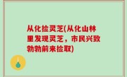 从化捡灵芝(从化山林里发现灵芝，市民兴致勃勃前来捡取)
