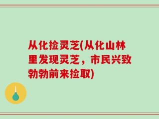 从化捡灵芝(从化山林里发现灵芝，市民兴致勃勃前来捡取)