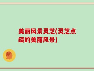 美丽风景灵芝(灵芝点缀的美丽风景)