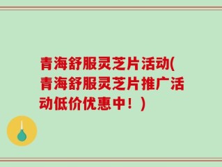 青海舒服灵芝片活动(青海舒服灵芝片推广活动低价优惠中！)
