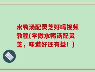 水鸭汤配灵芝好吗视频教程(学做水鸭汤配灵芝，味道好还有益！)