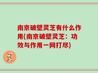 南京破壁灵芝有什么作用(南京破壁灵芝：功效与作用一网打尽)
