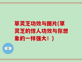 草灵芝功效与图片(草灵芝的惊人功效与你想象的一样强大！)