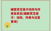 破壁灵芝孢子功效与作用及禁忌(破解灵芝孢子：功效、作用与注意事项)