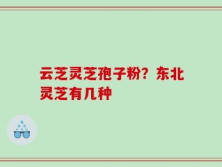 云芝灵芝孢子粉？东北灵芝有几种