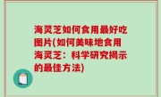 海灵芝如何食用最好吃图片(如何美味地食用海灵芝：科学研究揭示的最佳方法)