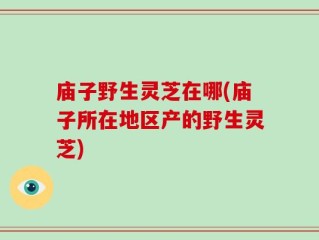 庙子野生灵芝在哪(庙子所在地区产的野生灵芝)