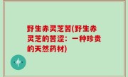 野生赤灵芝苦(野生赤灵芝的苦涩：一种珍贵的天然药材)