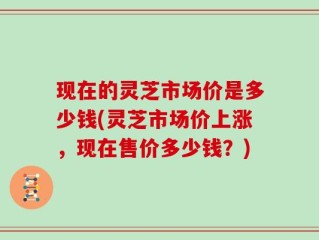现在的灵芝市场价是多少钱(灵芝市场价上涨，现在售价多少钱？)