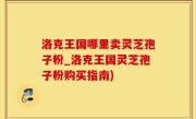 洛克王国哪里卖灵芝孢子粉_洛克王国灵芝孢子粉购买指南)