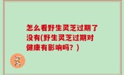 怎么看野生灵芝过期了没有(野生灵芝过期对健康有影响吗？)