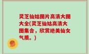 灵芝仙姑图片高清大图大全(灵芝仙姑高清大图集合，欣赏绝美仙女气质。)