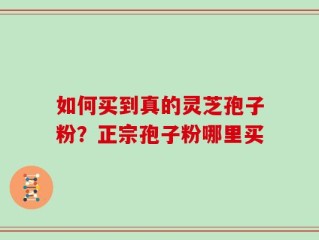 如何买到真的灵芝孢子粉？正宗孢子粉哪里买