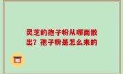灵芝的孢子粉从哪面散出？孢子粉是怎么来的
