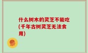 什么树木的灵芝不能吃(千年古树灵芝无法食用)