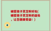 破壁孢子灵芝粉好处(破壁孢子灵芝粉的益处，让您健康受益！)