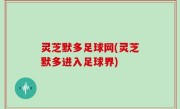 灵芝默多足球网(灵芝默多进入足球界)