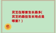 灵芝在那里生长最多(灵芝的最佳生长地点是哪里？)