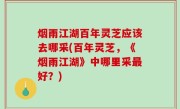 烟雨江湖百年灵芝应该去哪采(百年灵芝，《烟雨江湖》中哪里采最好？)