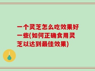 一个灵芝怎么吃效果好一些(如何正确食用灵芝以达到最佳效果)