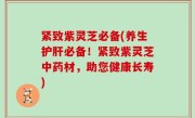 紧致紫灵芝必备(养生护肝必备！紧致紫灵芝中药材，助您健康长寿)
