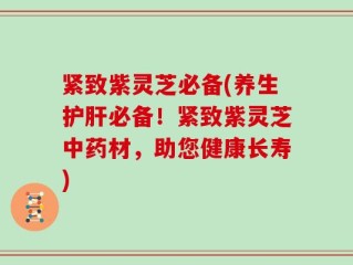 紧致紫灵芝必备(养生护肝必备！紧致紫灵芝中药材，助您健康长寿)