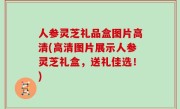 人参灵芝礼品盒图片高清(高清图片展示人参灵芝礼盒，送礼佳选！)