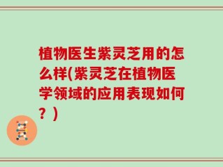植物医生紫灵芝用的怎么样(紫灵芝在植物医学领域的应用表现如何？)