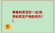 哪里的灵芝好一点(优秀的灵芝产地在何方？)