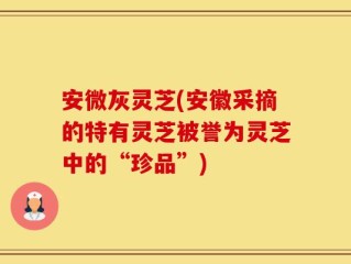 安微灰灵芝(安徽采摘的特有灵芝被誉为灵芝中的“珍品”)