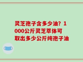 灵芝孢子含多少油？1000公斤灵芝萃体可取出多少公斤纯孢子油