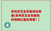 贵州灵芝金耳基地在哪里(贵州灵芝金耳基地的地理位置在哪里？)
