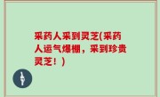采药人采到灵芝(采药人运气爆棚，采到珍贵灵芝！)