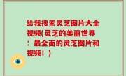 给我搜索灵芝图片大全视频(灵芝的美丽世界：最全面的灵芝图片和视频！)