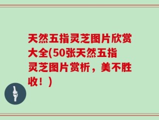 天然五指灵芝图片欣赏大全(50张天然五指灵芝图片赏析，美不胜收！)