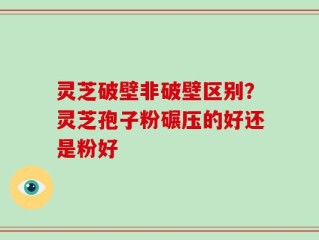 灵芝破壁非破壁区别？灵芝孢子粉碾压的好还是粉好