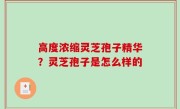 高度浓缩灵芝孢子精华？灵芝孢子是怎么样的