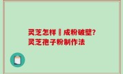 灵芝怎样嚰成粉破壁？灵芝孢子粉制作法