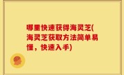 哪里快速获得海灵芝(海灵芝获取方法简单易懂，快速入手)