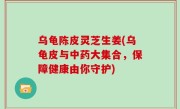 乌龟陈皮灵芝生姜(乌龟皮与中药大集合，保障健康由你守护)