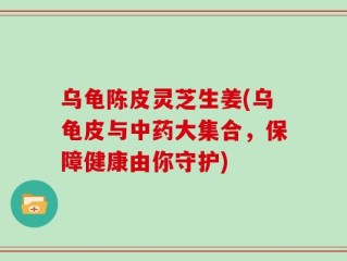 乌龟陈皮灵芝生姜(乌龟皮与中药大集合，保障健康由你守护)