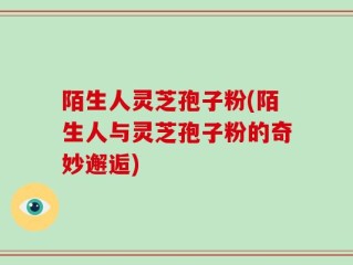 陌生人灵芝孢子粉(陌生人与灵芝孢子粉的奇妙邂逅)
