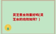 灵芝煮水效果好吗(灵芝水的功效如何？)