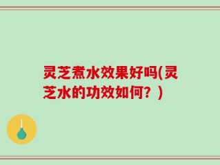 灵芝煮水效果好吗(灵芝水的功效如何？)