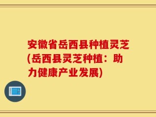安徽省岳西县种植灵芝(岳西县灵芝种植：助力健康产业发展)